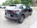 Jet Black Mica - CX-30 AWD Photo No. 2