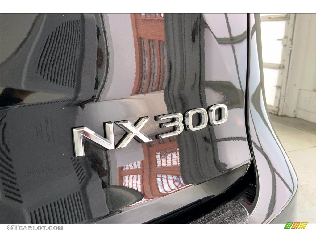 2019 Lexus NX 300 Marks and Logos Photo #142295985