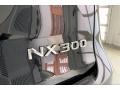 2019 Lexus NX 300 Badge and Logo Photo