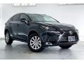  2019 NX 300 Caviar