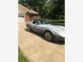 Silver Metallic - Corvette Coupe Photo No. 2