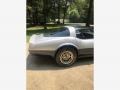 Silver Metallic - Corvette Coupe Photo No. 7