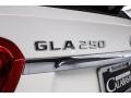 Polar White - GLA 250 Photo No. 10