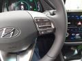 2021 Hyundai Ioniq Hybrid Black Interior Steering Wheel Photo