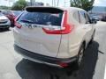 Sandstorm Metallic - CR-V EX-L AWD Photo No. 5