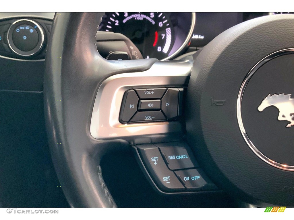 2019 Ford Mustang EcoBoost Premium Convertible Ebony Steering Wheel Photo #142307267