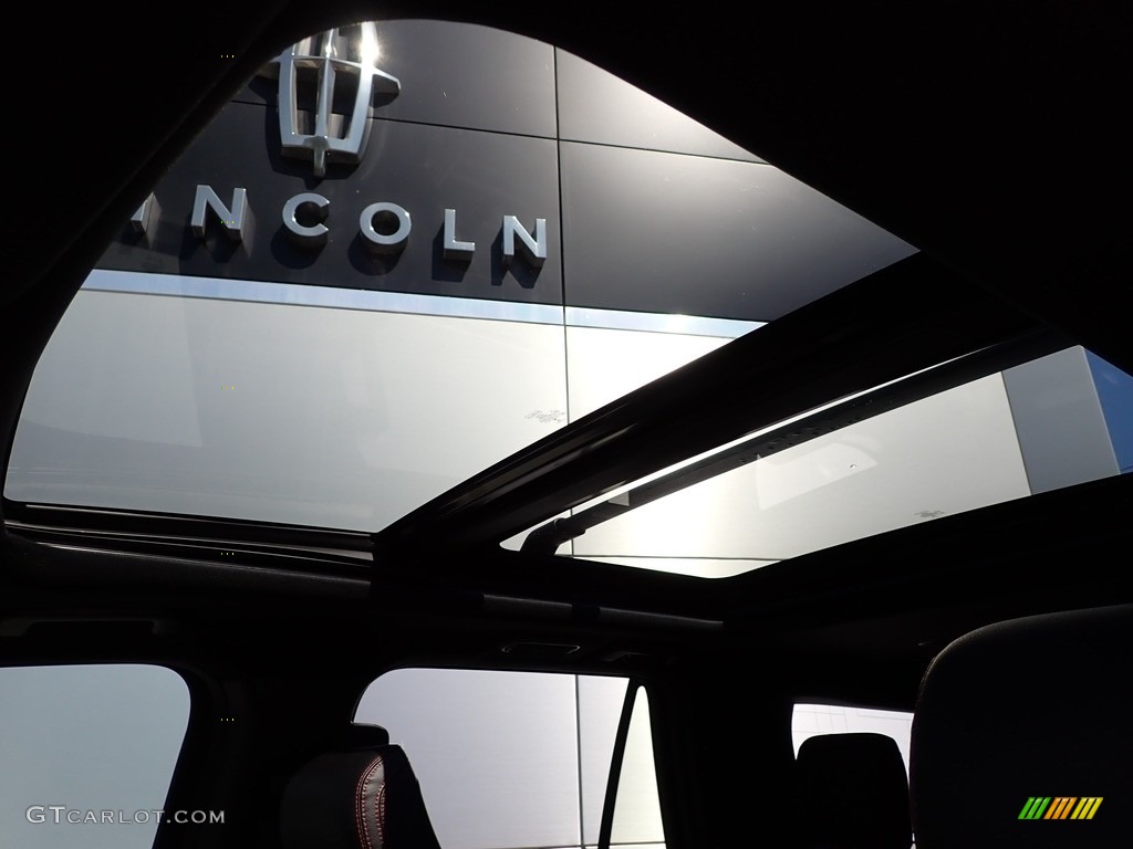 2019 Expedition Limited 4x4 - Ruby Red Metallic / Ebony photo #20