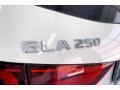 Polar White - GLA 250 Photo No. 31