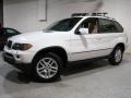 Alpine White - X5 3.0i Photo No. 1