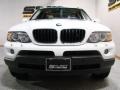 Alpine White - X5 3.0i Photo No. 2