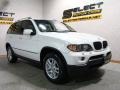 Alpine White - X5 3.0i Photo No. 3