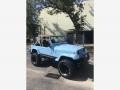 1989 Spinnaker Blue Jeep Wrangler Islander 4x4  photo #5