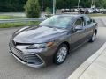 Predawn Gray Mica - Camry LE AWD Photo No. 8
