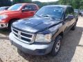 Brilliant Black - Dakota ST Crew Cab 4x4 Photo No. 3