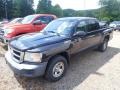 Brilliant Black - Dakota ST Crew Cab 4x4 Photo No. 5