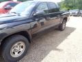 Brilliant Black - Dakota ST Crew Cab 4x4 Photo No. 6