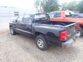 Brilliant Black - Dakota ST Crew Cab 4x4 Photo No. 7