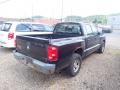 Brilliant Black - Dakota ST Crew Cab 4x4 Photo No. 10