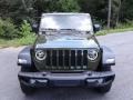 Sarge Green - Wrangler Unlimited Freedom Edition 4x4 Photo No. 4