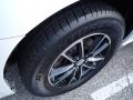 White Knuckle - Grand Caravan SE Photo No. 5