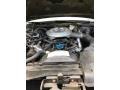 1982 Lincoln Town Car 5.0 Liter OHV 16-Valve V8 Engine Photo