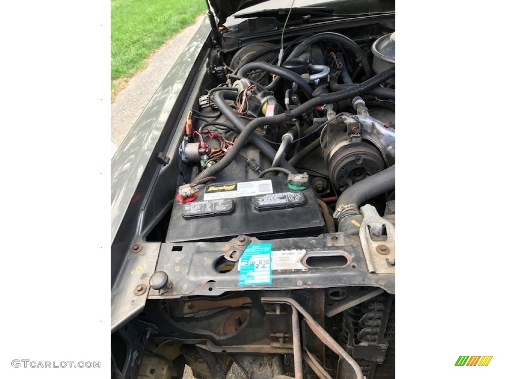 1982 Lincoln Town Car Standard Town Car Model 5.0 Liter OHV 16-Valve V8 Engine Photo #142347220