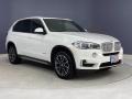 Alpine White - X5 sDrive35i Photo No. 38