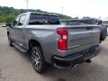 2020 Satin Steel Metallic Chevrolet Silverado 1500 LT Trail Boss Crew Cab 4x4  photo #5