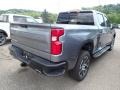 2020 Satin Steel Metallic Chevrolet Silverado 1500 LT Trail Boss Crew Cab 4x4  photo #7