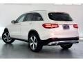 Polar White - GLC 300 Photo No. 10