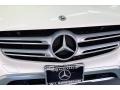Polar White - GLC 300 Photo No. 30