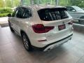 Mineral White Metallic - X3 xDrive30i Photo No. 2