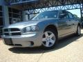 Silver Steel Metallic - Charger SE Photo No. 1