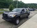 Magnetic Gray Metallic - Tacoma SR Access Cab 4x4 Photo No. 8