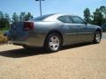 Silver Steel Metallic - Charger SE Photo No. 5