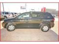 2009 Brilliant Black Crystal Pearl Dodge Journey SE  photo #2