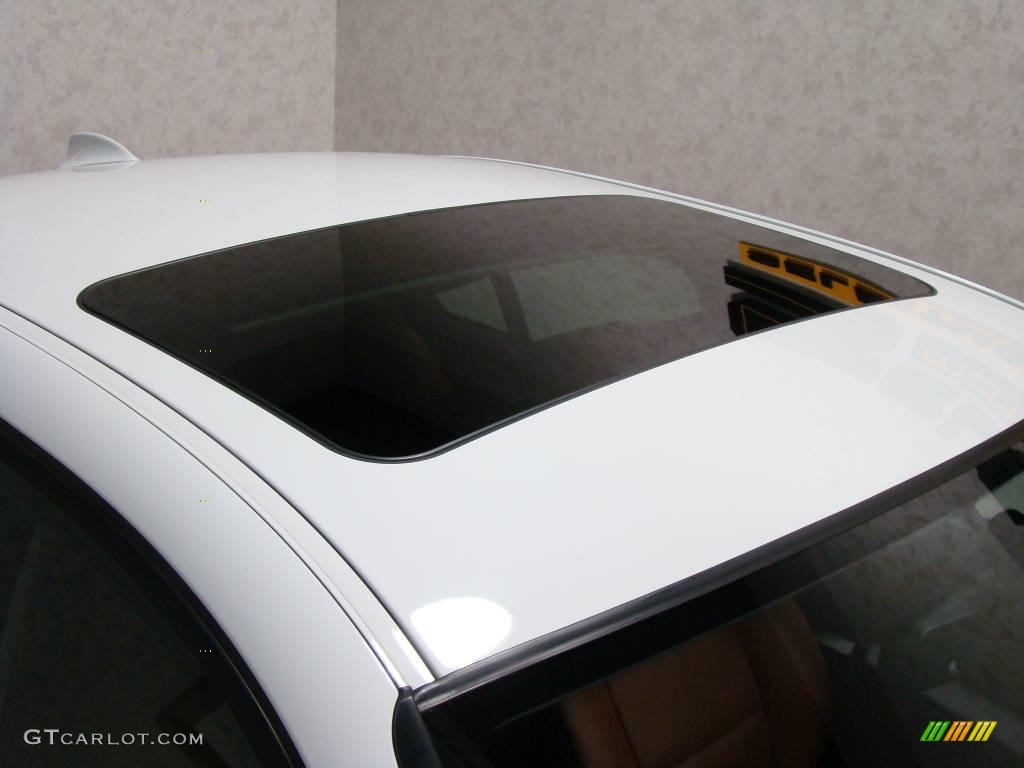 2007 5 Series 530xi Sedan - Alpine White / Auburn Dakota Leather photo #6