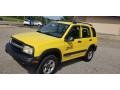 Yellow - Tracker ZR2 4WD Hard Top Photo No. 18