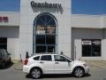 Stone White - Caliber SXT Photo No. 1