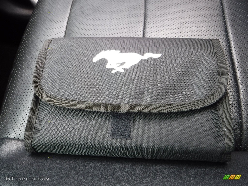 2016 Mustang EcoBoost Premium Coupe - Magnetic Metallic / Ebony photo #26