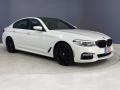 Alpine White - 5 Series 530i Sedan Photo No. 38
