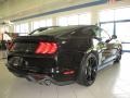 Shadow Black - Mustang GT Fastback Photo No. 5