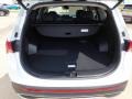 2022 Quartz White Hyundai Santa Fe SEL  photo #23