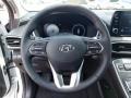Black Steering Wheel Photo for 2022 Hyundai Santa Fe #142390592