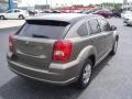 Light Khaki Metallic - Caliber SE Photo No. 5