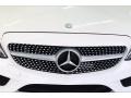 Polar White - C 300 Coupe Photo No. 30