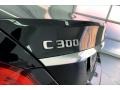 Black - C 300 Sedan Photo No. 31
