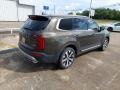 2020 Dark Moss Kia Telluride S  photo #7