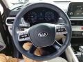 Gray Steering Wheel Photo for 2020 Kia Telluride #142402476