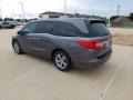 2019 Pacific Pewter Metallic Honda Odyssey EX-L  photo #5